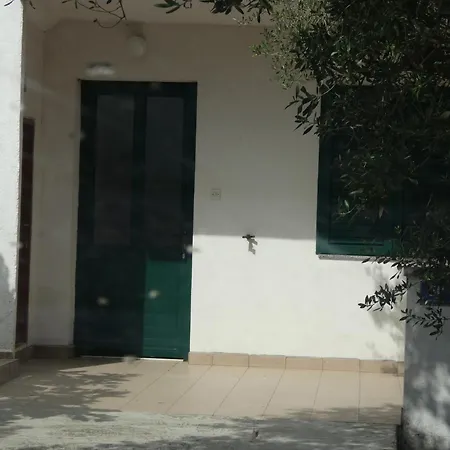 Apartman Zarko *